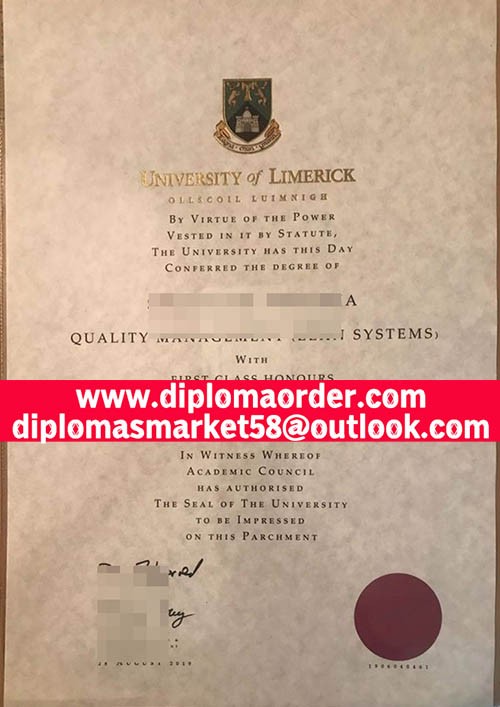 University of Limerick diploma