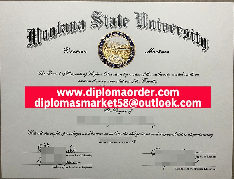 Montana State University diploma,MSU degree.