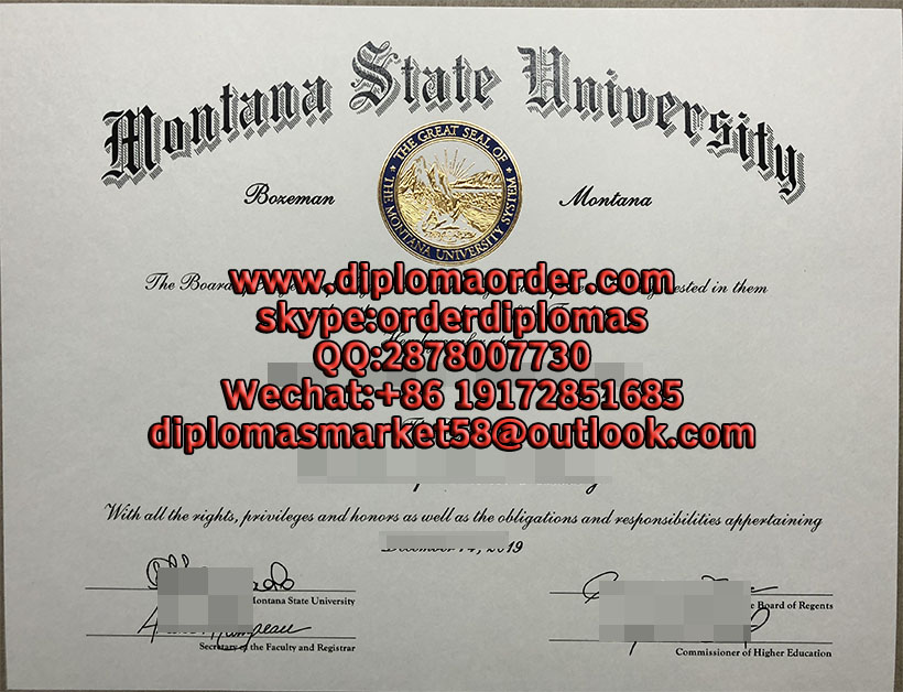 Montana State University 1.jpg