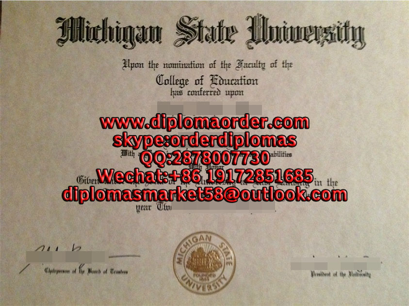 Michigan State University 1.jpg